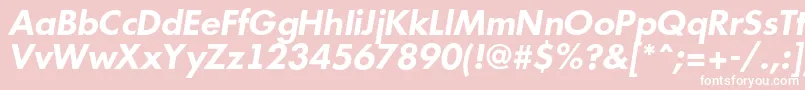 Futuri6 Font – White Fonts on Pink Background