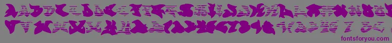 Graffonti.Gradient.Fill.Fontvir.Us-fontti – violetit fontit harmaalla taustalla