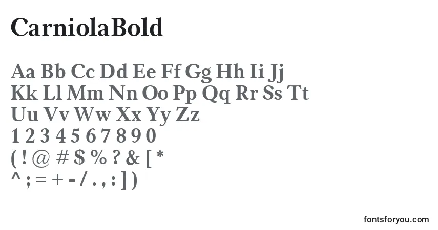 Czcionka CarniolaBold – alfabet, cyfry, specjalne znaki