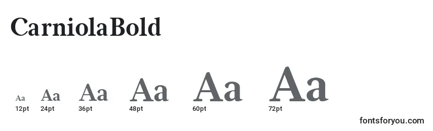CarniolaBold Font Sizes