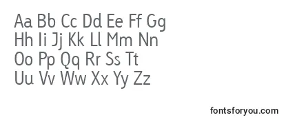 Обзор шрифта LinotypeTetriaLight