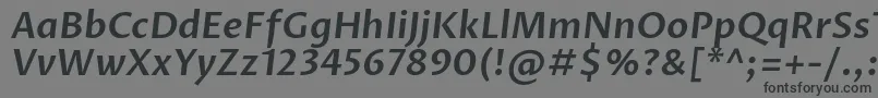 ProzalibreSemibolditalic-Schriftart – Schwarze Schriften auf grauem Hintergrund