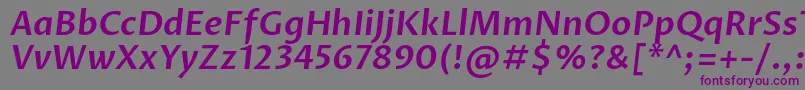 ProzalibreSemibolditalic Font – Purple Fonts on Gray Background