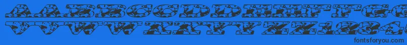 Bigspit Font – Black Fonts on Blue Background