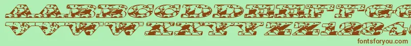 Bigspit Font – Brown Fonts on Green Background