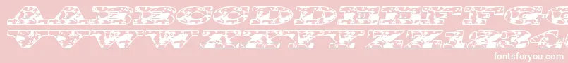 Bigspit Font – White Fonts on Pink Background