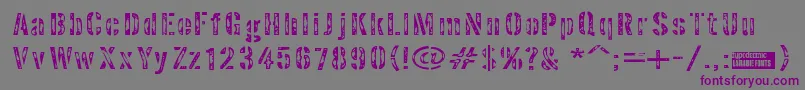 Interpla Font – Purple Fonts on Gray Background