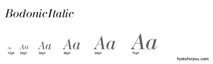 Размеры шрифта BodonicItalic