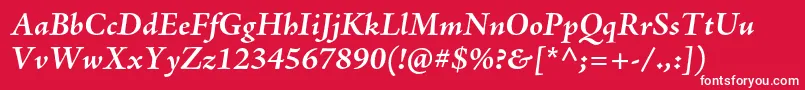 フォントAjensonproBoldit – 赤い背景に白い文字