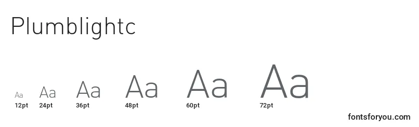 Plumblightc Font Sizes