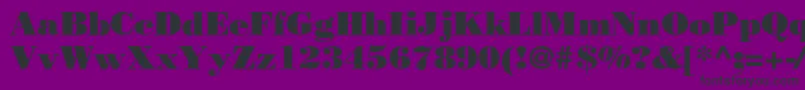 Bodnoff Font – Black Fonts on Purple Background