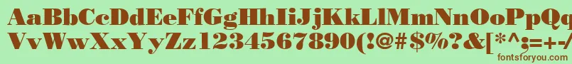 Bodnoff Font – Brown Fonts on Green Background