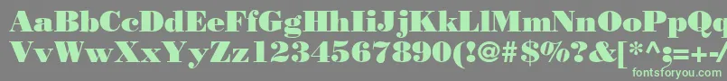 Bodnoff Font – Green Fonts on Gray Background