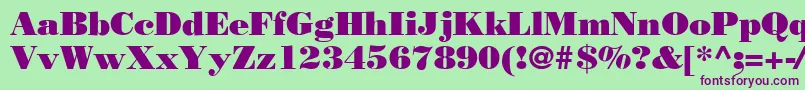 Bodnoff Font – Purple Fonts on Green Background