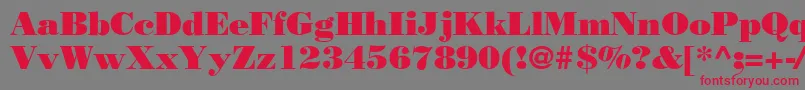 フォントBodnoff – 赤い文字の灰色の背景