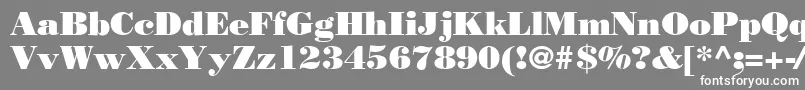 Bodnoff-Schriftart – Weiße Schriften auf grauem Hintergrund