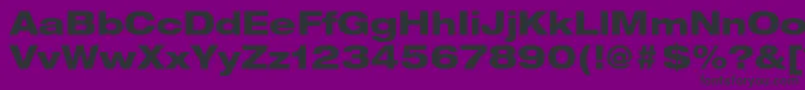 フォントHelveticaneueltstdHvex – 紫の背景に黒い文字