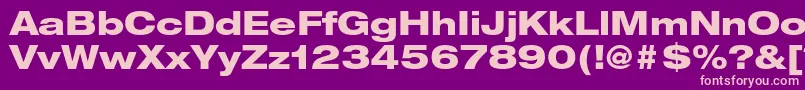 HelveticaneueltstdHvex Font – Pink Fonts on Purple Background