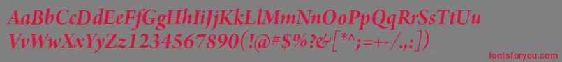 ArnoproBolditalic36pt Font – Red Fonts on Gray Background