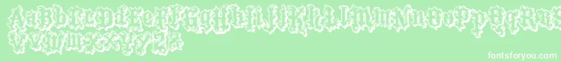 VtksTattooShadow Font – White Fonts on Green Background