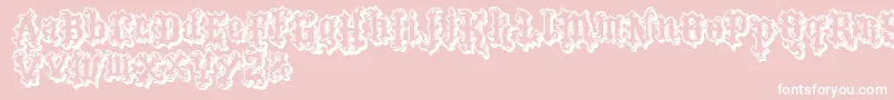 VtksTattooShadow-Schriftart – Weiße Schriften auf rosa Hintergrund