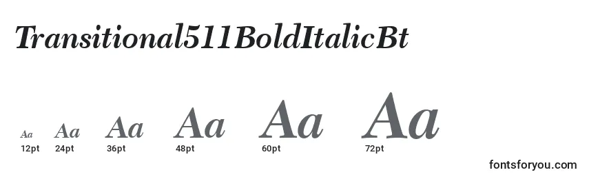Размеры шрифта Transitional511BoldItalicBt