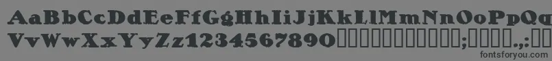 Lietzalexandernero Font – Black Fonts on Gray Background