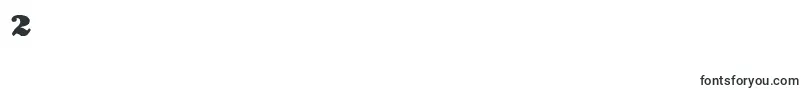 Lietzalexandernero Font – Fonts for Digit 2