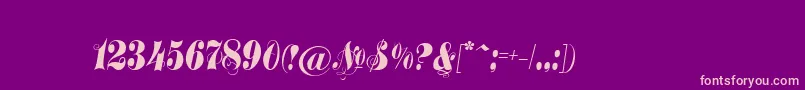 Treasuryflourishc Font – Pink Fonts on Purple Background