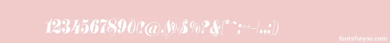 Treasuryflourishc-Schriftart – Weiße Schriften auf rosa Hintergrund