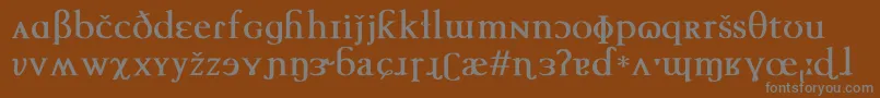 フォントTechphoneticBold – 茶色の背景に灰色の文字