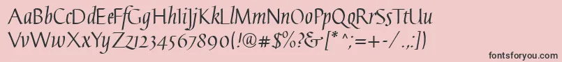 GaiusLtRegularStraight Font – Black Fonts on Pink Background