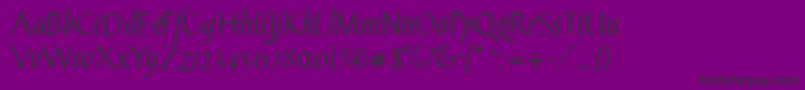 GaiusLtRegularStraight Font – Black Fonts on Purple Background