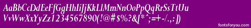 PurloincondensedBoldItalic Font – White Fonts on Purple Background