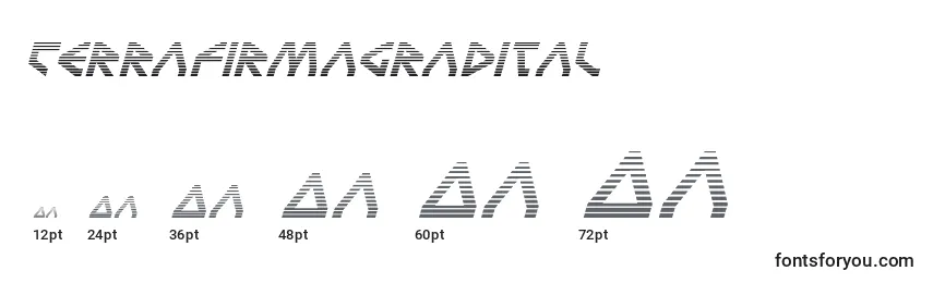 Размеры шрифта Terrafirmagradital