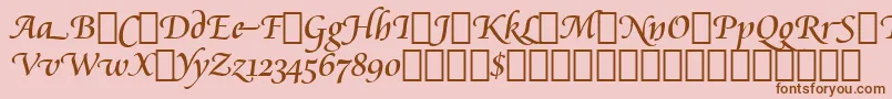 CataneoRegularSwashBt Font – Brown Fonts on Pink Background