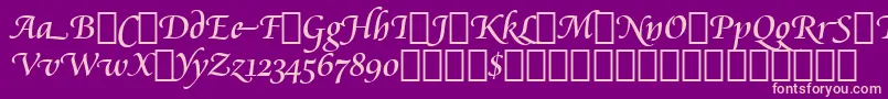 CataneoRegularSwashBt Font – Pink Fonts on Purple Background