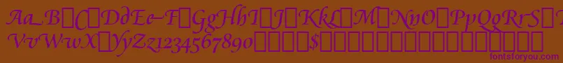 CataneoRegularSwashBt Font – Purple Fonts on Brown Background