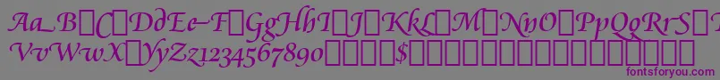 CataneoRegularSwashBt Font – Purple Fonts on Gray Background