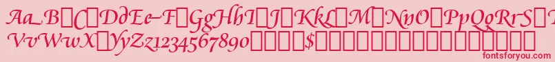 CataneoRegularSwashBt Font – Red Fonts on Pink Background