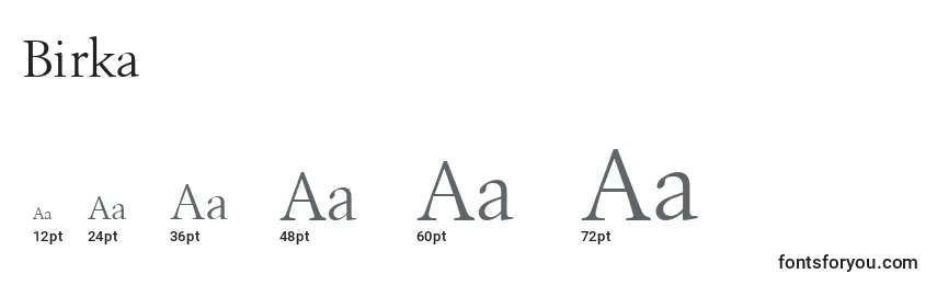Размеры шрифта Birka