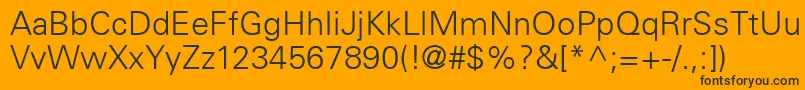 UniversLt45Light Font – Black Fonts on Orange Background