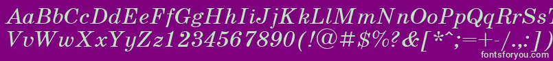 SchoolbookcItalic Font – Green Fonts on Purple Background