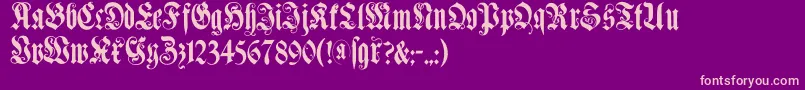 Muenchnerfraktur Font – Pink Fonts on Purple Background