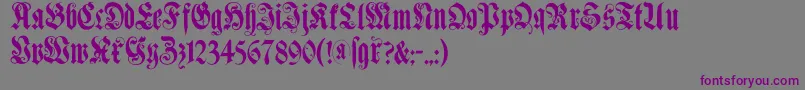 Muenchnerfraktur Font – Purple Fonts on Gray Background