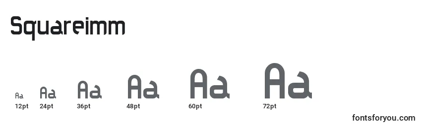 Размеры шрифта Squareimm