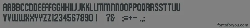 Schluber Font – Black Fonts on Gray Background