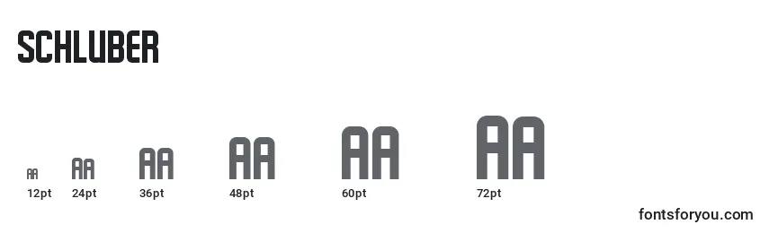 Schluber Font Sizes