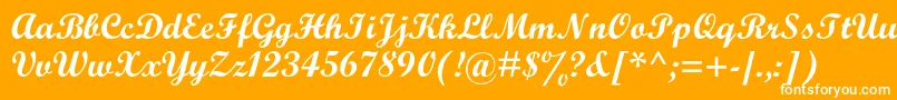 ScriptmtstdBold Font – White Fonts on Orange Background