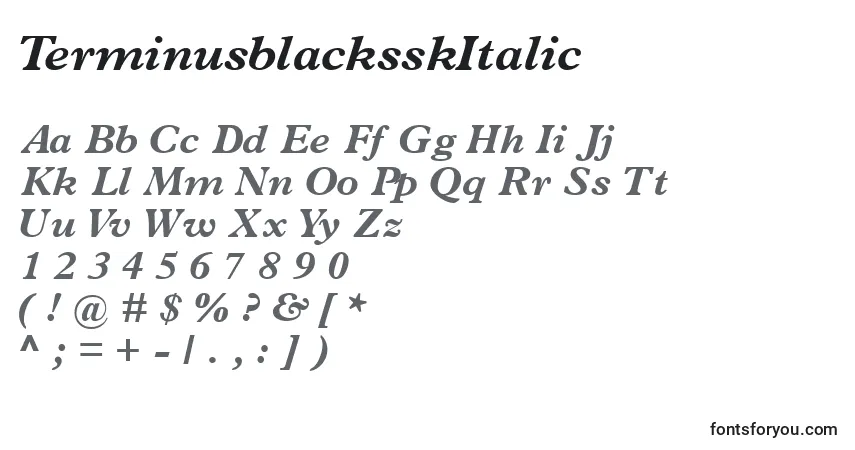 A fonte TerminusblacksskItalic – alfabeto, números, caracteres especiais